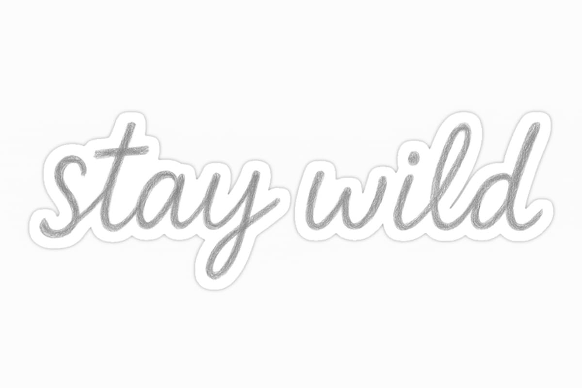 Vinyl sticker: Laptop Wall Car Window Bumper Waterproof Sticker Vinyl Decal Truck Auto Water Bottle “Stay Wild” One-Line Gray Pencil Handwritten Quote on White Background
