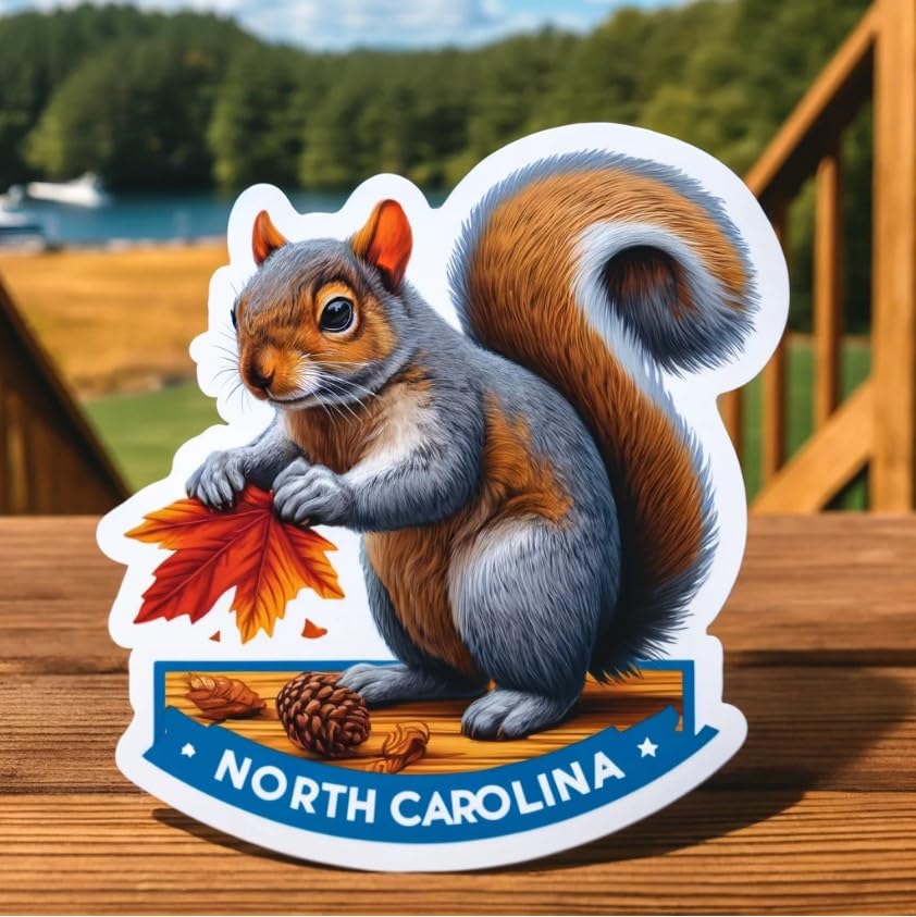 Vinyl sticker: Curious Eastern Gray Squirrel Laptop Wall Car Window Bumper Sticker Decal Truck Waterproof Auto Water Bottle. (4)
