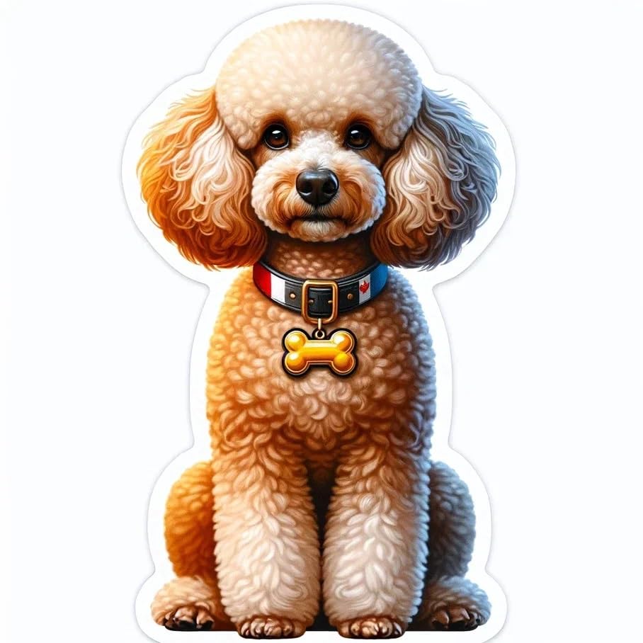 Vinyl sticker: Sticker Poodle Golden Pendant Flag Canada Patriotic Dog Vinyl Decal American Flag & Cute Dogs in Glasses USA Pride Canine Waterproof Décor for Laptops Water Bottles Baby Room