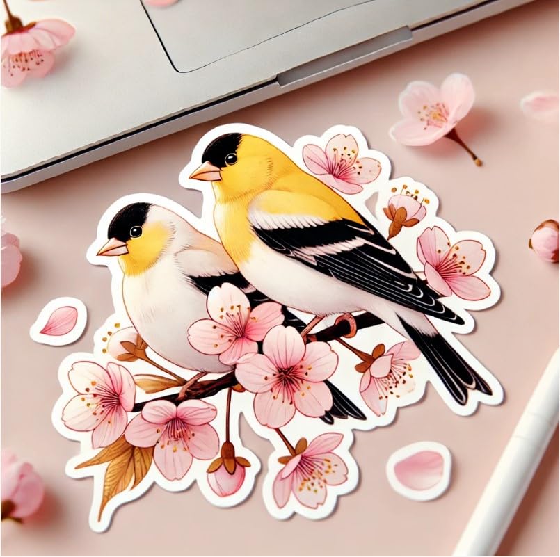 Vinyl sticker: Two American Goldfinches on a Cherry Blossom Branch - Laptop, Wall, Car, Window, Bumper, Sticker, Decal, Truck, Waterproof, Auto, Water Bottle
