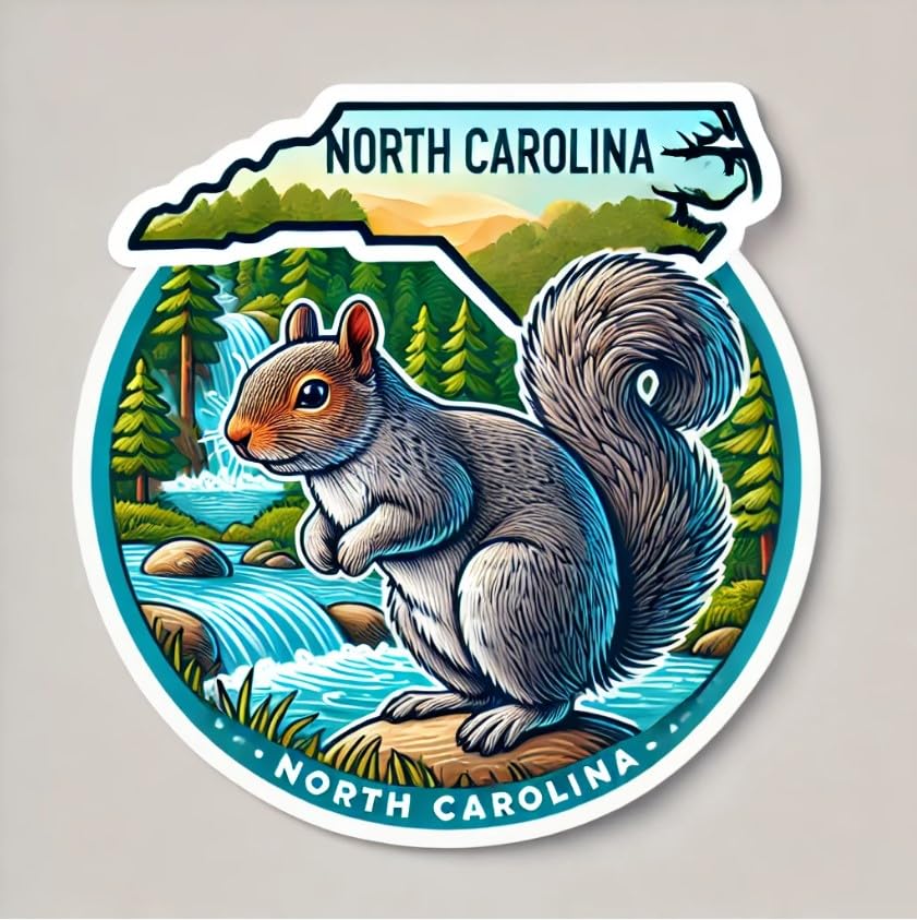 Vinyl sticker: Rock-Standing Eastern Gray Squirrel Laptop Wall Car Window Bumper Sticker Decal Truck Waterproof Auto Water Bottle (6)