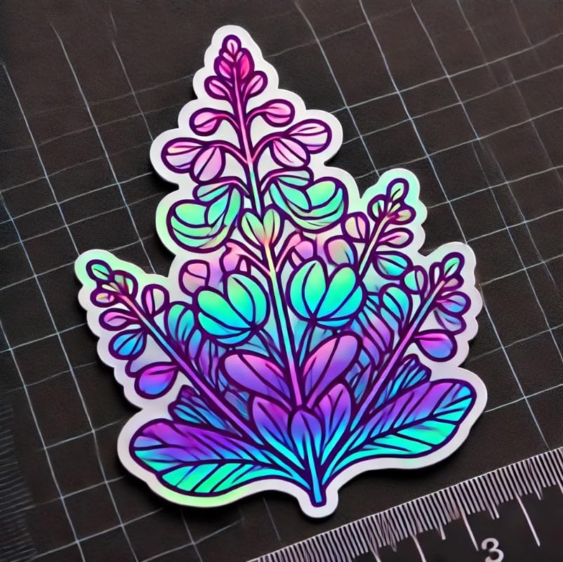 Vinyl sticker: Holographic Gaultheria Waterproof Laptop Wall Car Window Bumper Sticker Decal Truck Auto Water Bottle (4)