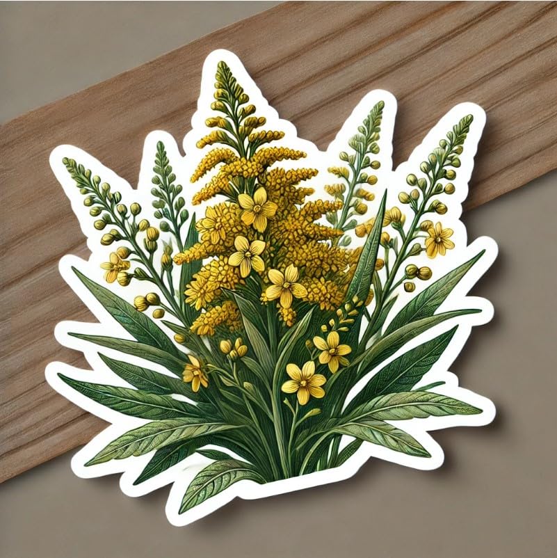 Vinyl sticker: Solidago Gigantea Nebraska Floral Emblem Laptop Wall Car Window Bumper Sticker Decal Truck Waterproof Auto Water Bottle (4)