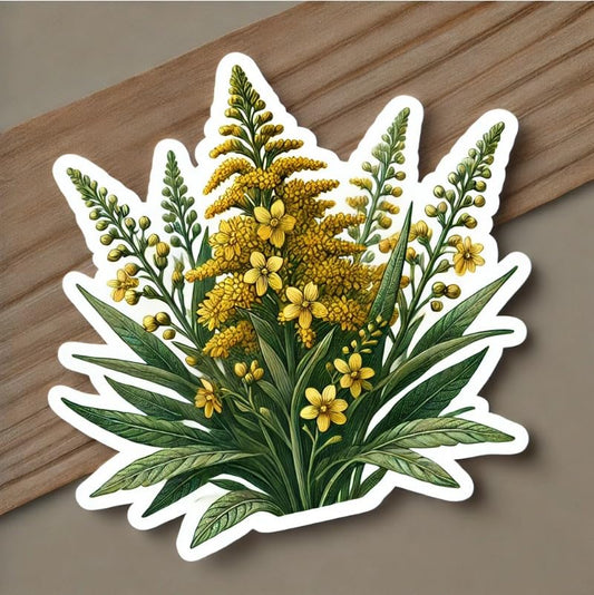 Vinyl sticker: Solidago Gigantea Nebraska Floral Emblem Laptop Wall Car Window Bumper Sticker Decal Truck Waterproof Auto Water Bottle (4)