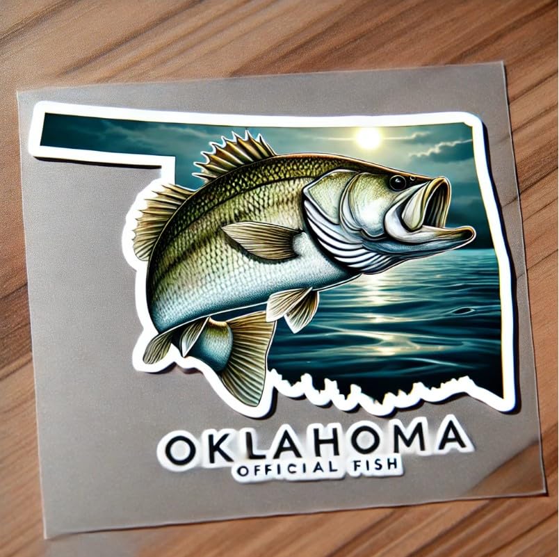 Vinyl sticker: White Bass Oklahoma Outdoor Adventure Sticker – Waterproof Vinyl Decal for Laptop, Wall, Car, Window, Bumper, Truck, Water Bottle, Auto Gear
