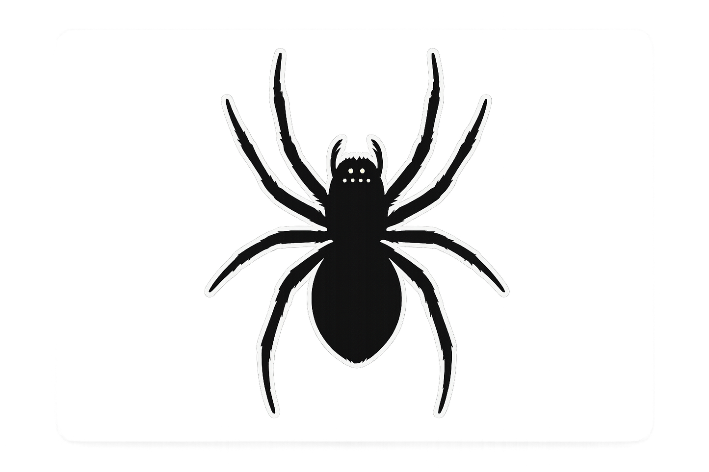 Spider XL Sticker Decal Vinyl Laptop Car Window Bumper AUTO Water Bottle Helmets Waterproof Realistic Arachnid