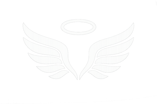 Silver Angel Wings Halo Circle Sticker Decal Vinyl Laptop Car Window Bumper AUTO Water Bottle Helmets Waterproof