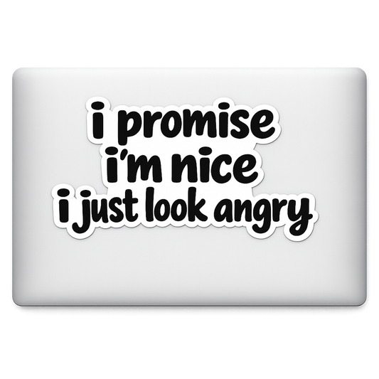 TX Texas Sticker Decal Vinyl Laptop Car Window Bumper AUTO Water Bottle Helmets Waterproof Phrase