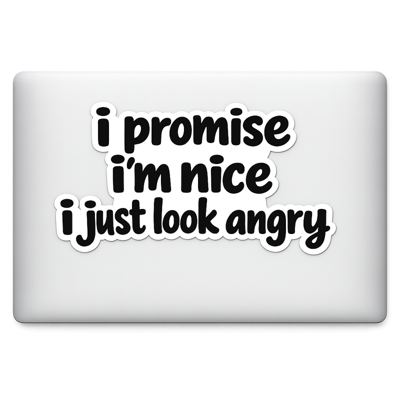 TX Texas Sticker Decal Text-Only Phrase 'I Promise I’m Nice I Just Look Angry' Vinyl Laptop Car Window Bumper AUTO Water Bottle Helmets Truck Waterproof