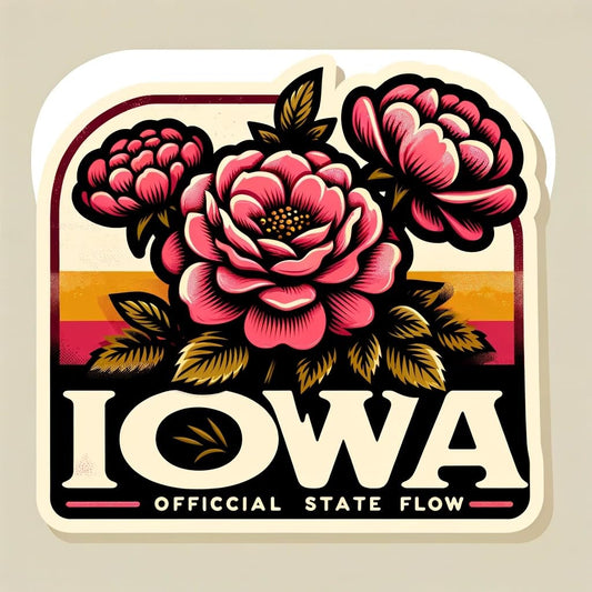 Vinyl sticker: Iowa Rosa Arkansana Retro Laptop Wall Car Window Bumper Sticker Decal Truck Waterproof Auto Water Bottle (8)