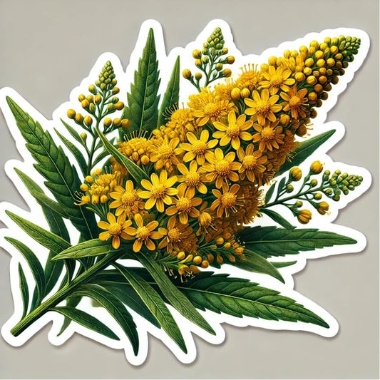 Vinyl sticker: Giant Goldenrod Nebraska State Wildflower Laptop Wall Car Window Bumper Sticker Decal Truck Waterproof Auto Water Bottle