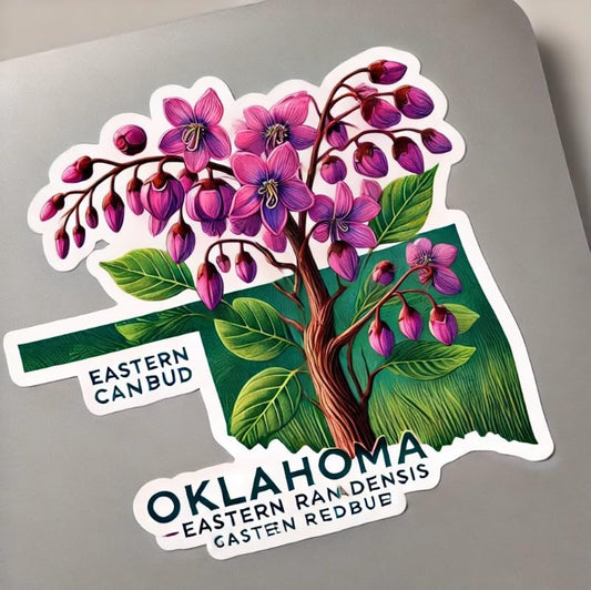 Vinyl sticker: Floral Cercis Canadensis Redbud Tree Laptop Wall Car Window Bumper Sticker Decal Truck Waterproof Auto Water Bottle – Oklahoma State Symbol (4)