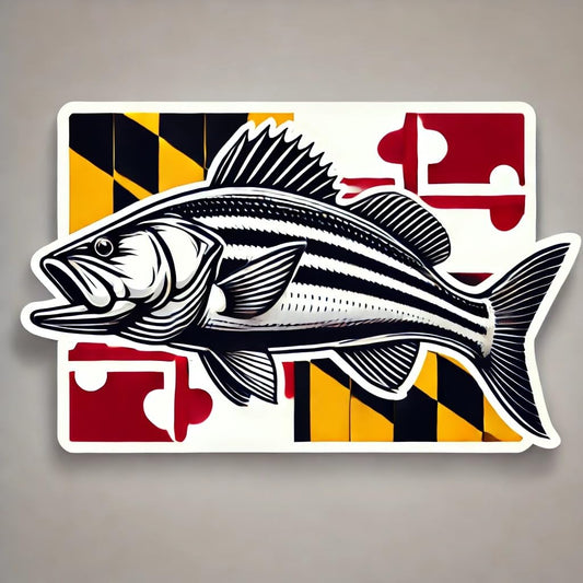 Vinyl sticker: Maryland Rockfish Striped Bass Waterproof Sticker for Car Window Laptop Bumper Truck Auto Water Bottle Decal