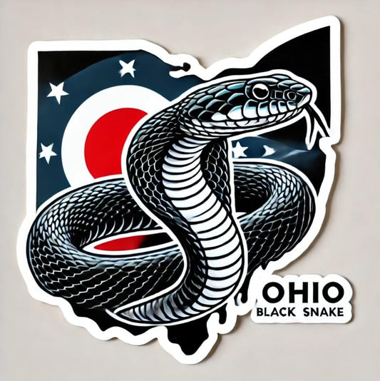 Vinyl sticker: Ohio Black Racer Snake Vinyl Sticker – Waterproof Car, Laptop, Window, Bumper & Water Bottle Decal. Variation 43