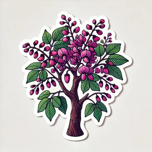 Vinyl sticker: Oklahoma Redbud Tree Laptop Wall Car Window Bumper Sticker Decal Truck Waterproof Auto Water Bottle – Cercis Canadensis Vinyl Art