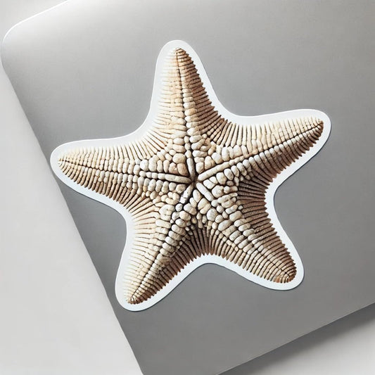 Vinyl sticker: White Realistic Starfish Laptop Wall Car Window Bumper Sticker Decal Truck Waterproof Auto Water Bottle
