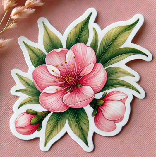 Vinyl sticker: Delaware Peach Blossom Laptop Wall Car Window Bumper Sticker Decal Truck Waterproof Auto Water Bottle – Vintage Botanical Art