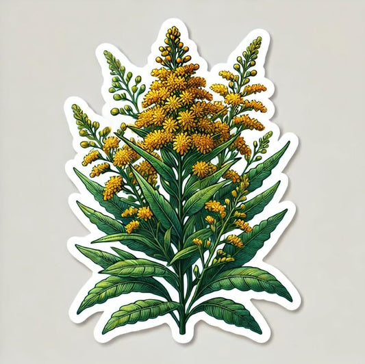 Vinyl sticker: Giant Goldenrod Nebraska Floral Laptop Wall Car Window Bumper Sticker Decal Truck Waterproof Auto Water Bottle