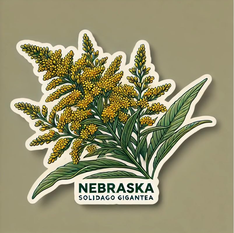 Vinyl sticker: Giant Goldenrod Floral Nebraska State Symbol Laptop Wall Car Window Bumper Sticker Decal Truck Waterproof Auto Water Bottle (4)