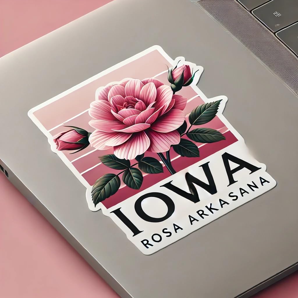 Vinyl sticker: Iowa Rosa Arkansana Modern Elegant Laptop Wall Car Window Bumper Sticker Decal Truck Waterproof Auto Water Bottle (4)