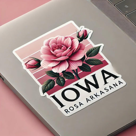 Vinyl sticker: Iowa Rosa Arkansana Modern Elegant Laptop Wall Car Window Bumper Sticker Decal Truck Waterproof Auto Water Bottle (4)