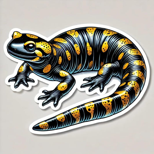 Vinyl sticker: Kansas Tiger Salamander Waterproof Sticker for Laptop Wall Car Window Bumper Decal Truck Auto Water Bottle Vinyl