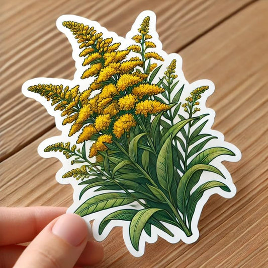 Vinyl sticker: Nebraska State Flower Giant Goldenrod Laptop Wall Car Window Bumper Sticker Decal Truck Waterproof Auto Water Bottle