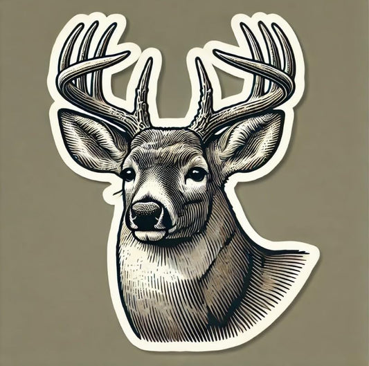 Vinyl sticker: White-Tailed Deer Frontal Pose – Sticker Decal for Laptop, Wall, Car, Window, Bumper, Truck, Waterproof, Auto, Water Bottle