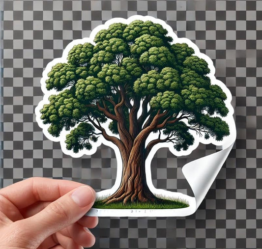 Vinyl sticker: Kansas Eastern Cottonwood Tree Laptop Wall Car Window Bumper Sticker Decal Truck Waterproof Auto Water Bottle Vinyl
