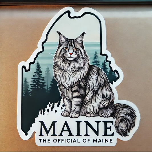 Vinyl sticker: Maine Coon Cat Sticker Vinyl Decal for Laptop, Wall, Car, Window, Bumper, Waterproof Truck Auto, Water Bottle
