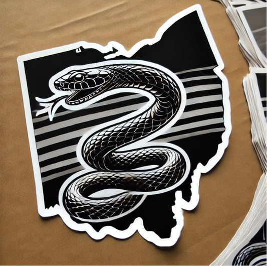Vinyl sticker: Ohio Black Racer Snake Vinyl Sticker – Waterproof Car, Laptop, Window, Bumper & Water Bottle Decal. Variation 41