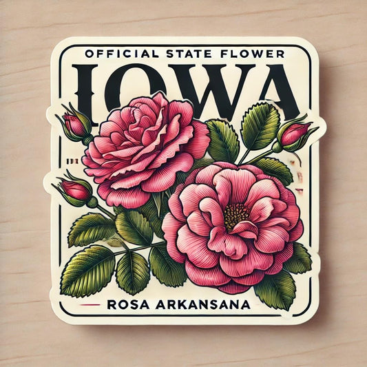 Vinyl sticker: Iowa Rosa Arkansana Botanical Laptop Wall Car Window Bumper Sticker Decal Truck Waterproof Auto Water Bottle