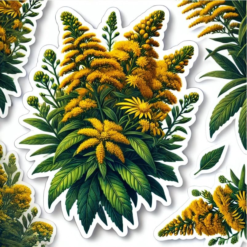 Vinyl sticker: Goldenrod Nebraska State Flower Nature Vinyl Laptop Wall Car Window Bumper Sticker Decal Truck Waterproof Auto Water Bottle (6)