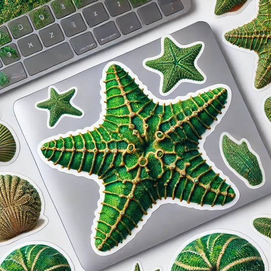 Vinyl sticker: Green Realistic Starfish Laptop Wall Car Window Bumper Sticker Decal Truck Waterproof Auto Water Bottle (4)
