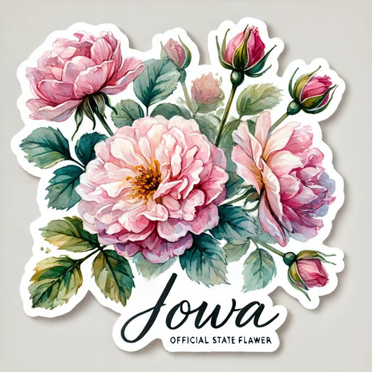 Vinyl sticker: Iowa Rosa Arkansana Watercolor Laptop Wall Car Window Bumper Sticker Decal Truck Waterproof Auto Water Bottle