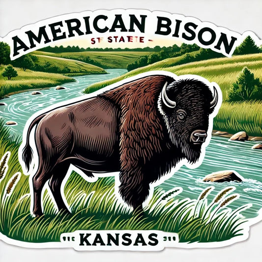 Vinyl sticker: American Bison by River Waterproof Sticker for Laptop, Wall, Car, Window, Bumper, Decal for Truck, Auto, Water Bottle – Kansas Wildlife Vinyl (4)