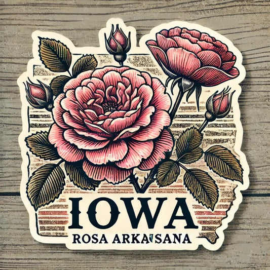 Vinyl sticker: Iowa Rosa Arkansana Vintage Laptop Wall Car Window Bumper Sticker Decal Truck Waterproof Auto Water Bottle