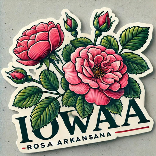 Vinyl sticker: Iowa Rosa Arkansana Modern Elegant Laptop Wall Car Window Bumper Sticker Decal Truck Waterproof Auto Water Bottle (8)